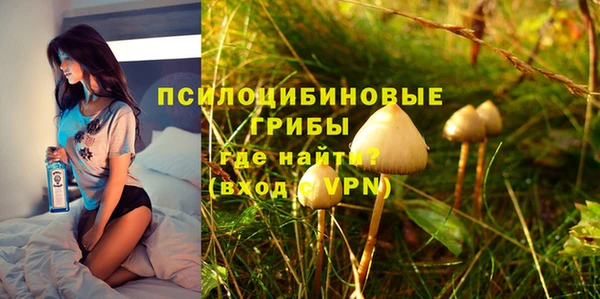 PSILOCYBIN Арсеньев