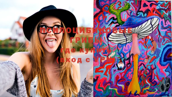 PSILOCYBIN Арсеньев
