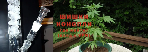 PSILOCYBIN Арсеньев